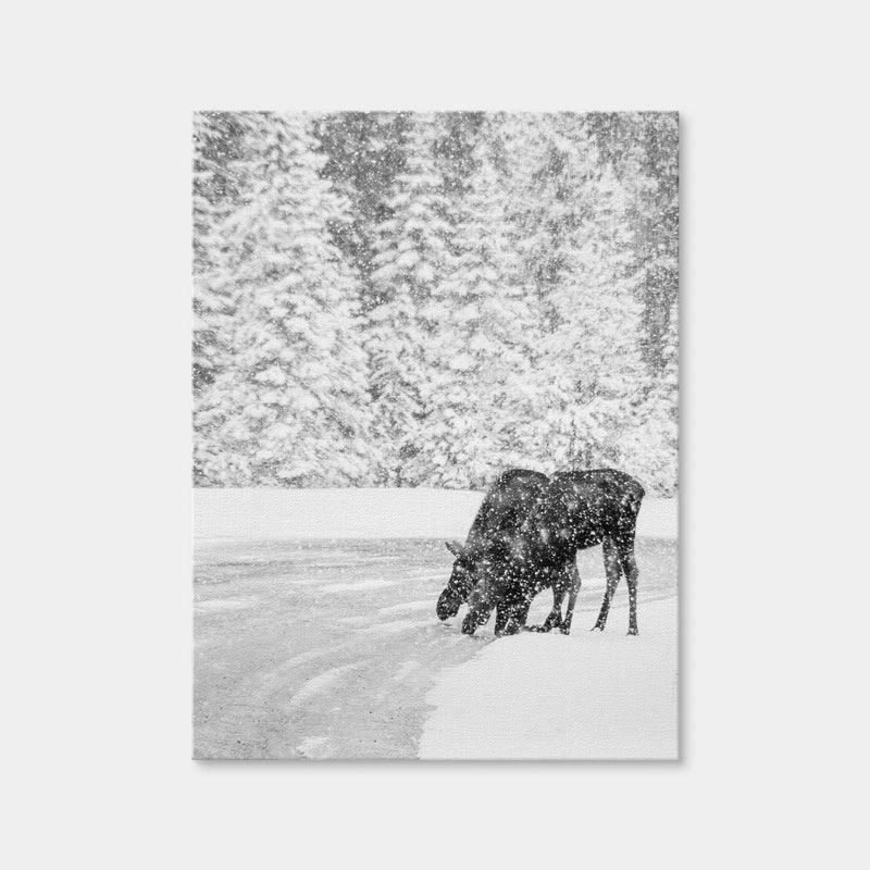 AUTO-MOCKUP WHITE | Mooses | 1 Piece | Gallery Wrap | group=3x4