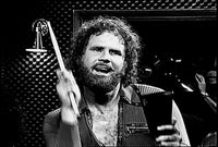 More Cowbell Grayscale Wall Art