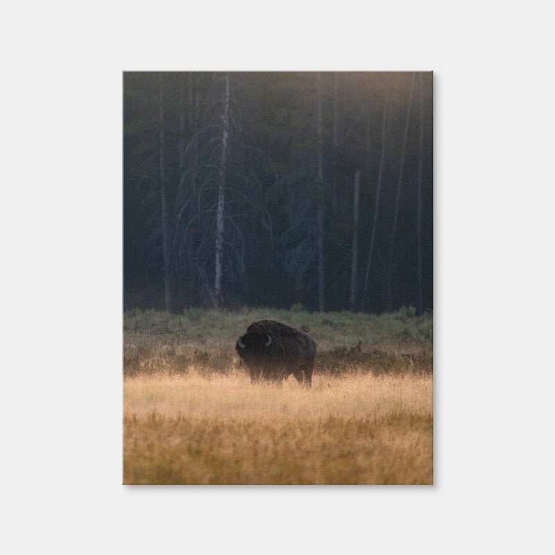 AUTO-MOCKUP WHITE | Morning Graze | 1 Piece | Gallery Wrap | group=3x4