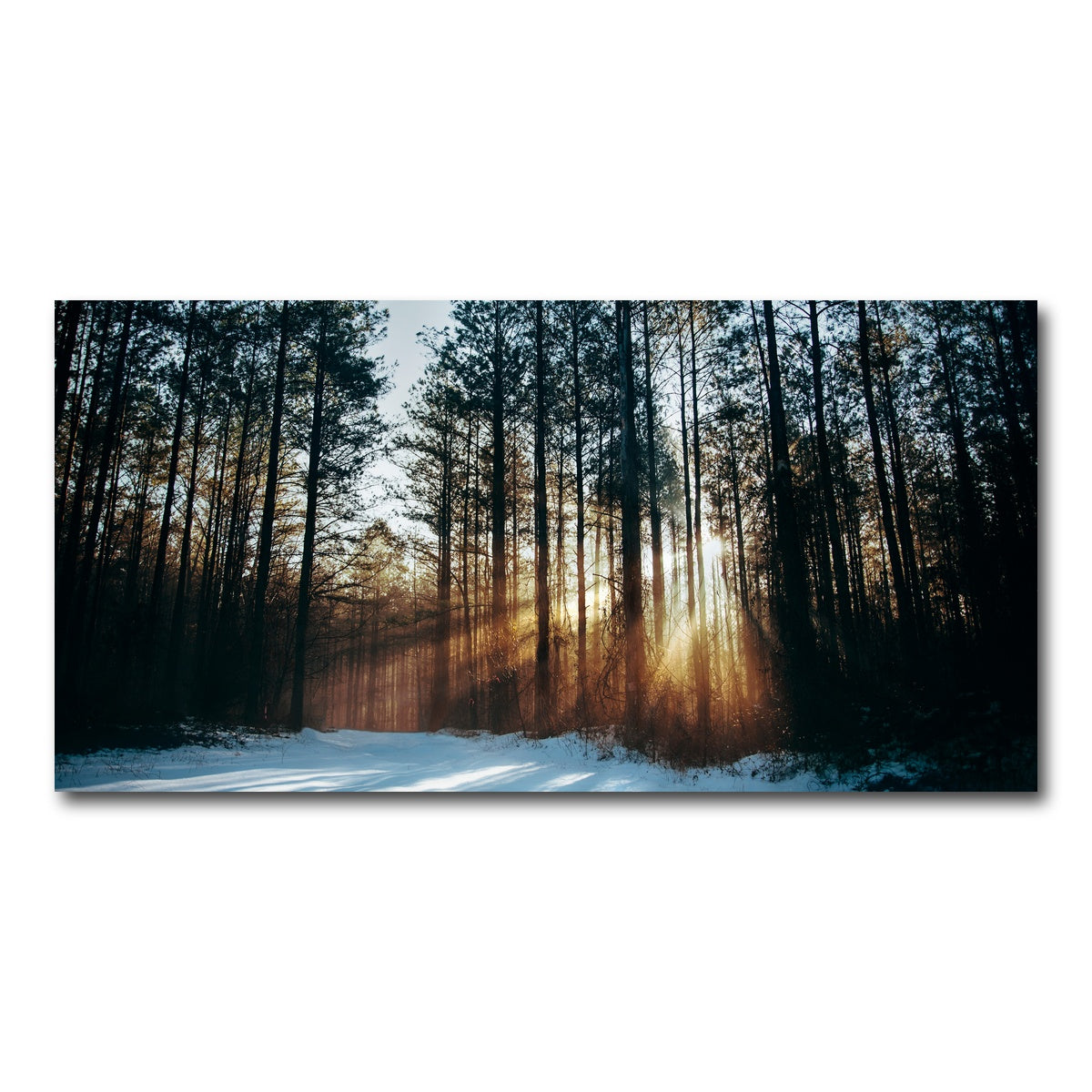 AUTO-MOCKUP WHITE | Morning Light | 1 Piece | Gallery Wrap Canvas | group=2x1
