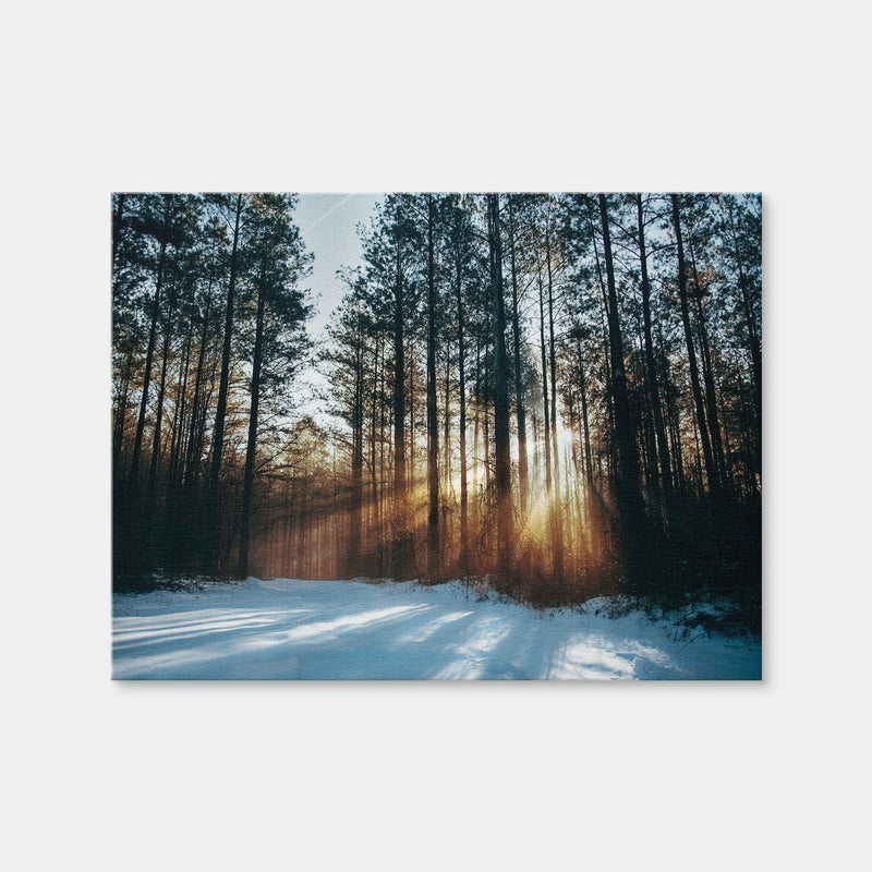 AUTO-MOCKUP WHITE | Morning Light | 1 Piece | Gallery Wrap | group=4x3