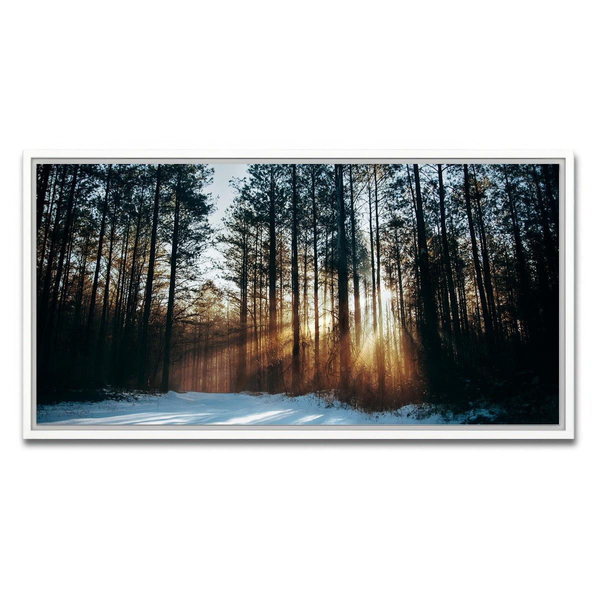 AUTO-MOCKUP WHITE | Morning Light | 1 Piece | White Framed Canvas | group=2x1