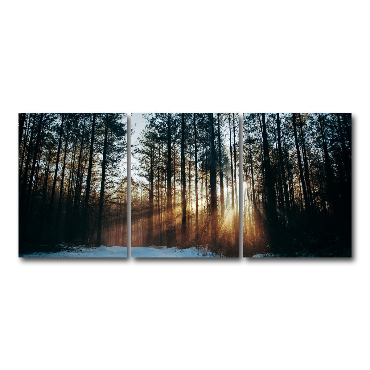 AUTO-MOCKUP WHITE | Morning Light | 3 Piece | Gallery Wrap Canvas | group=18x24