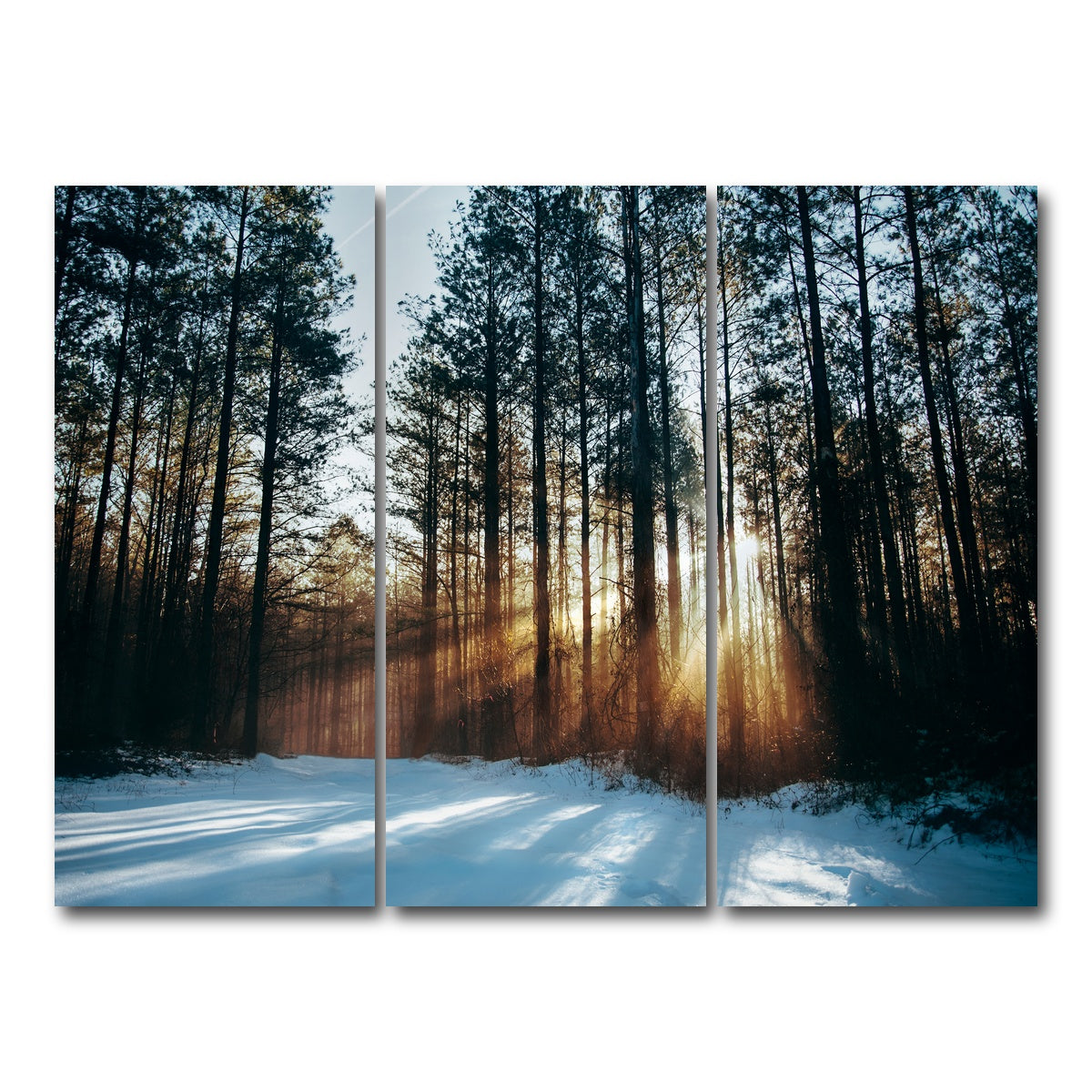 AUTO-MOCKUP WHITE | Morning Light | 3 Piece | Gallery Wrap Canvas | group=8x18