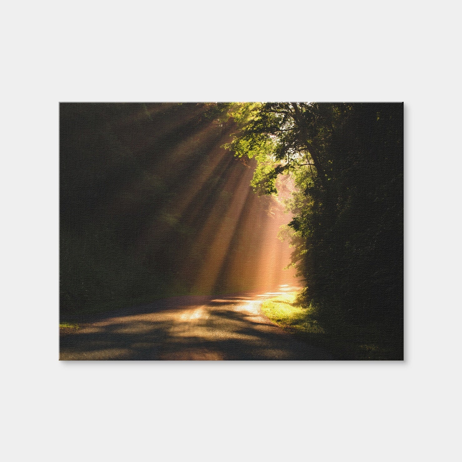 AUTO-MOCKUP WHITE | Morning Rays | 1 Piece | Gallery Wrap Canvas | group=4x3