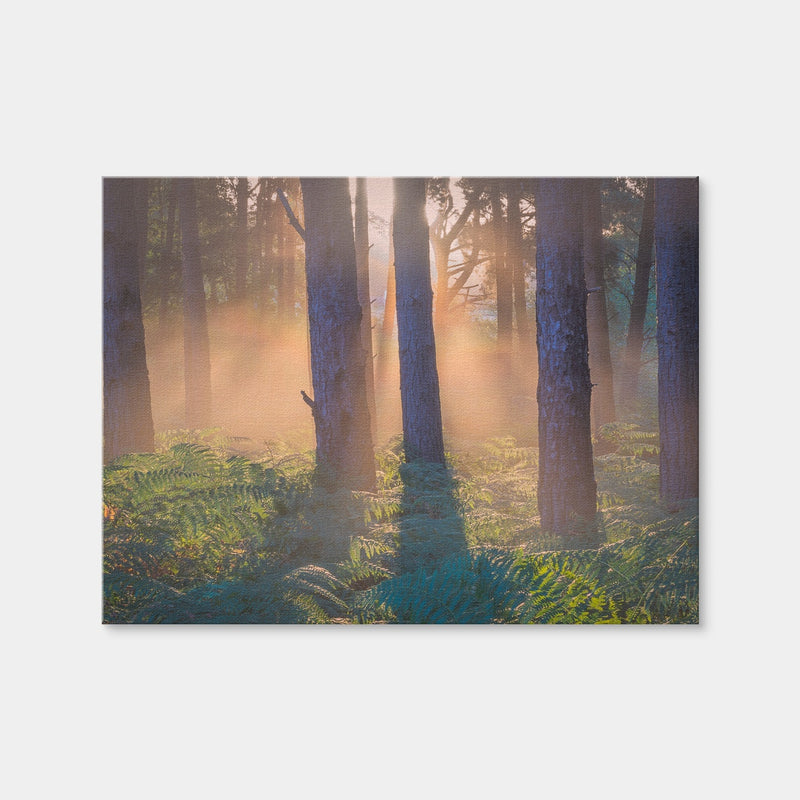 AUTO-MOCKUP WHITE | Morning in Reigate Heath | 1 Piece | Gallery Wrap | group=4x3