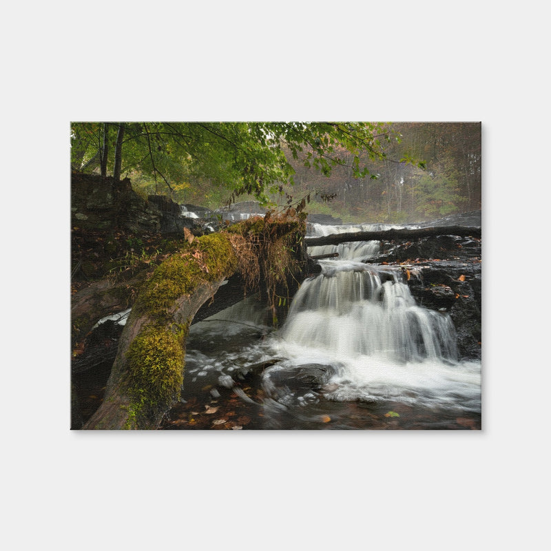 AUTO-MOCKUP WHITE | Mossy Limbs | 1 Piece | Gallery Wrap | group=4x3