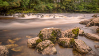 Mossy Rocks Wall Art