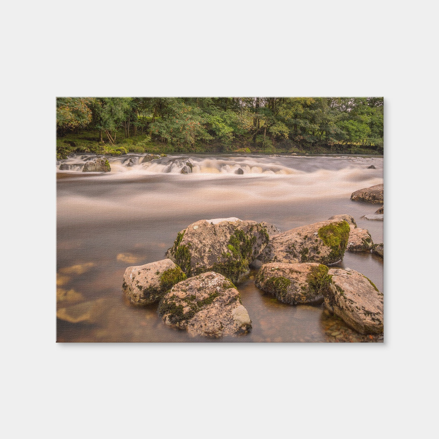 AUTO-MOCKUP WHITE | Mossy Rocks | 1 Piece | Gallery Wrap Canvas | group=4x3