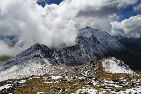 Mount Columbia Wall Art