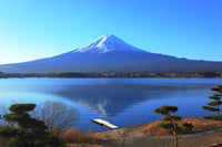 Mount Fuji Wall Art