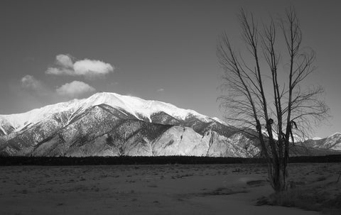 Mount Princeton Black and White Wall Art