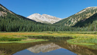Mount Yale Wall Art