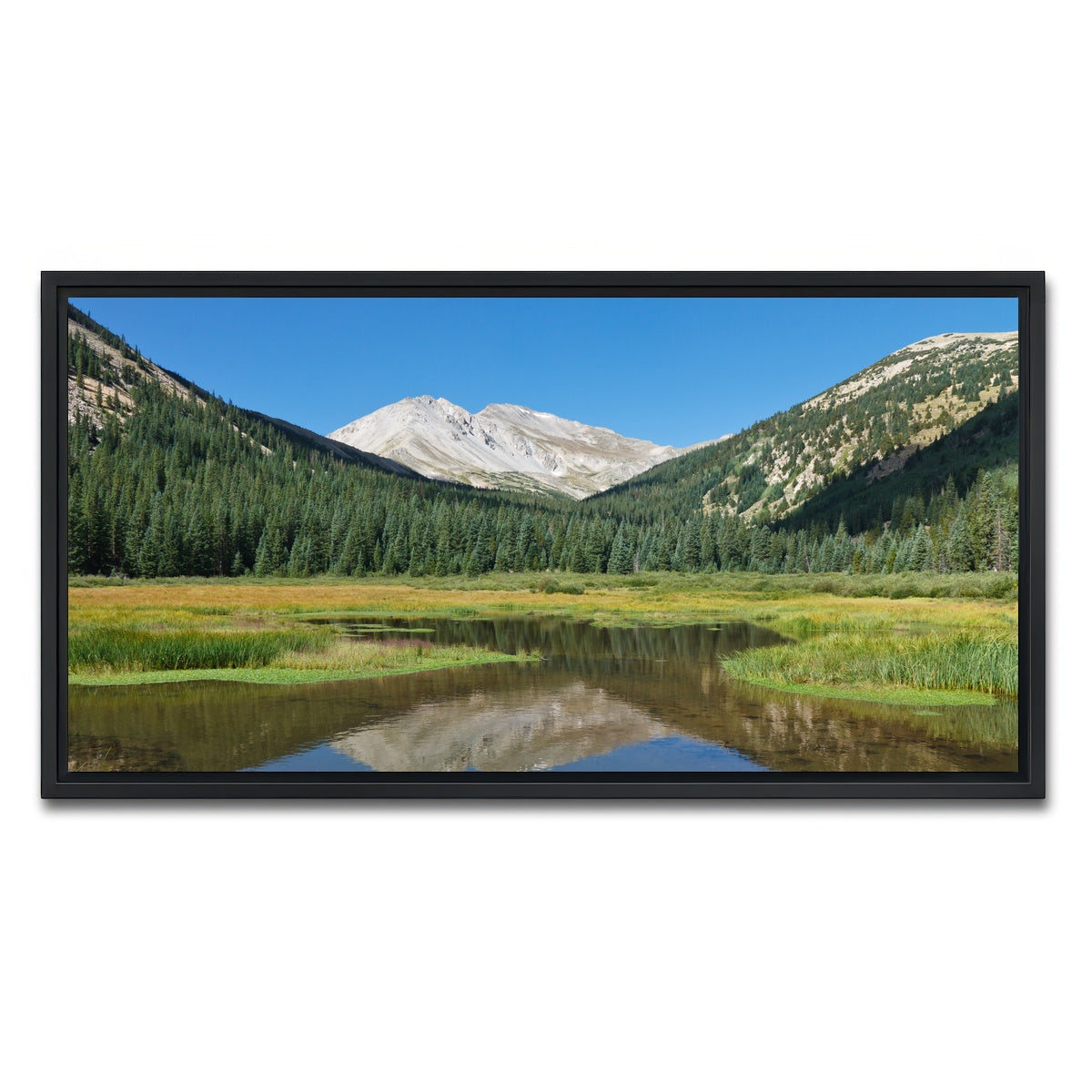 AUTO-MOCKUP WHITE | Mount Yale | 1 Piece | Black Framed Canvas | group=2x1