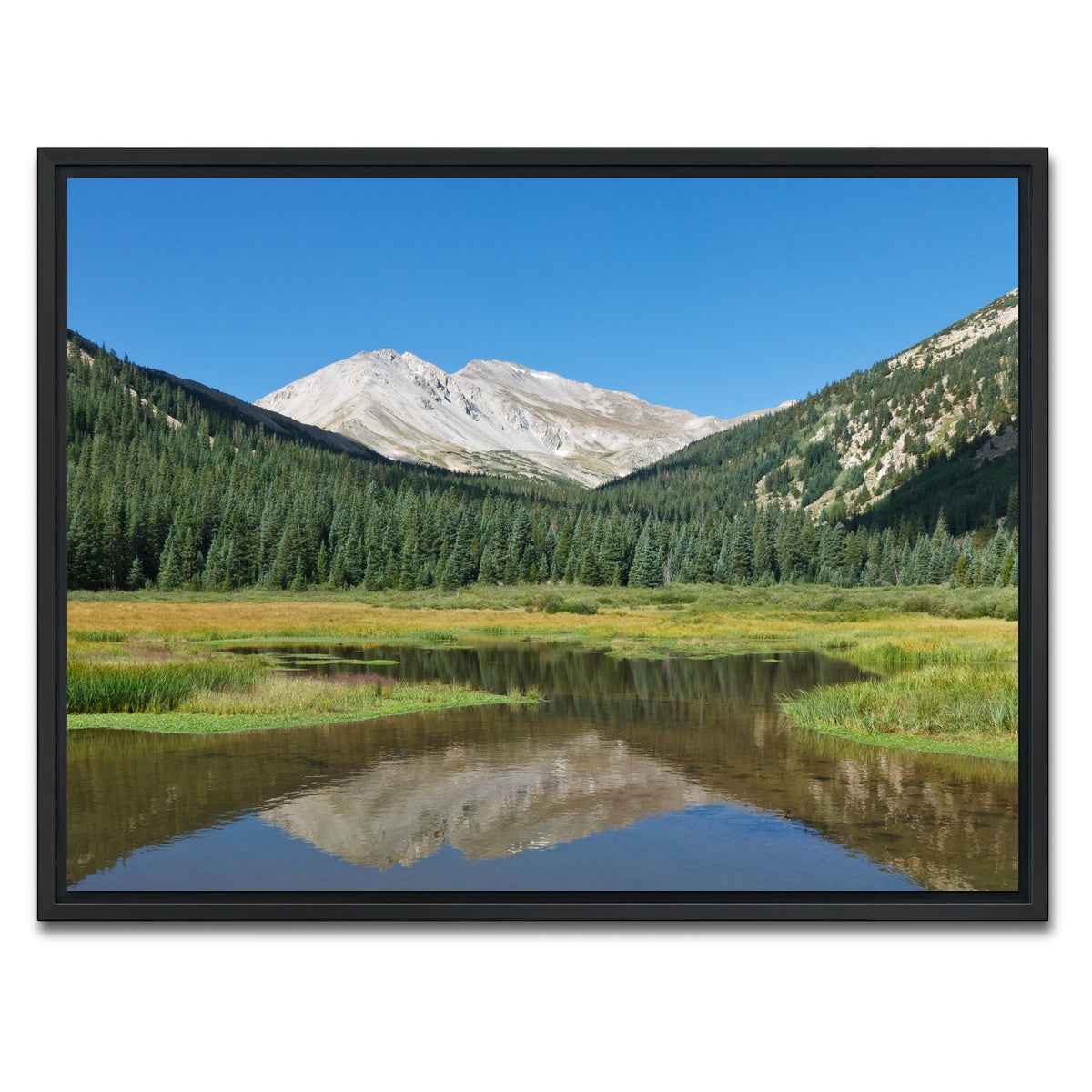 AUTO-MOCKUP WHITE | Mount Yale | 1 Piece | Black Framed Canvas | group=4x3