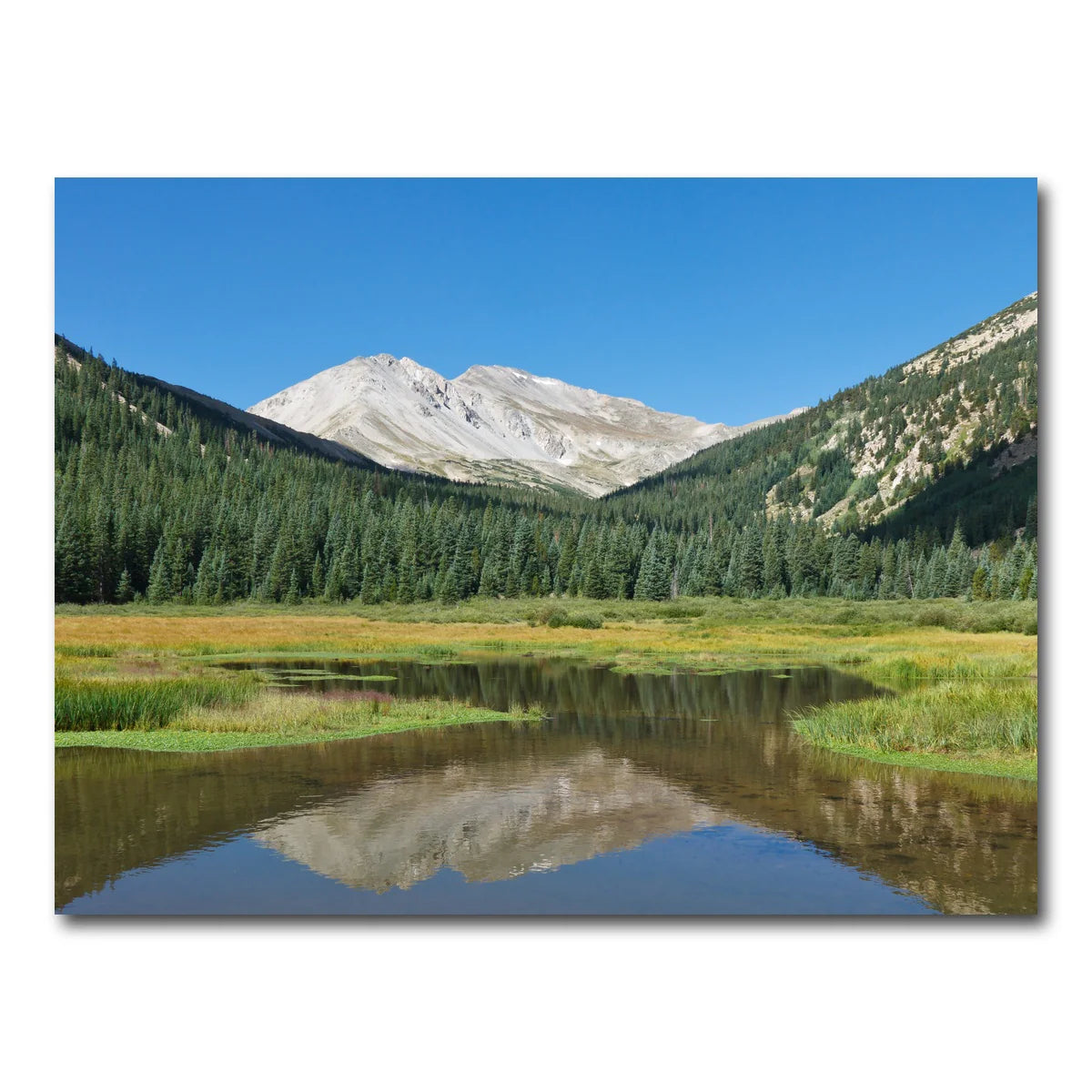 Mount Yale Wall Art