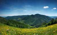 Mountain landscape panorama Wall Art