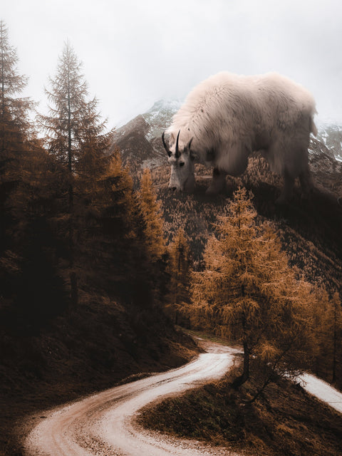 Mountain spirits Wall Art