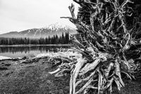 Mt. Bachelor - Sparks Lake Wall Art