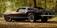 Mustang Wall Art