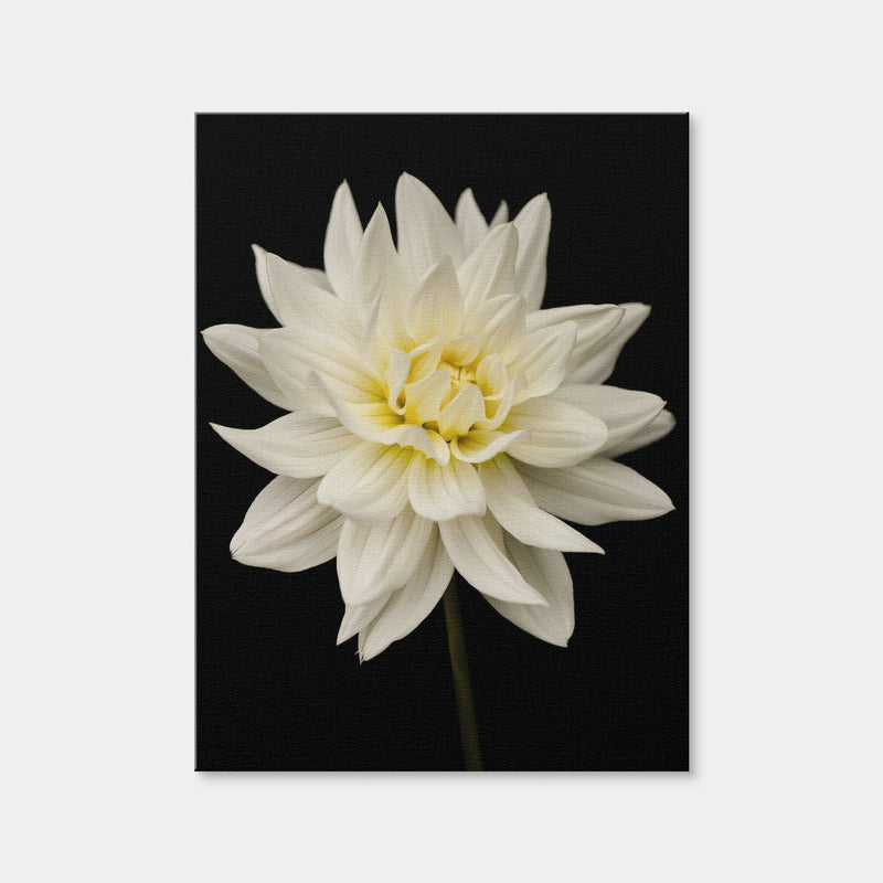 AUTO-MOCKUP WHITE | Nature | 1 Piece | Gallery Wrap Canvas | group=3x4
