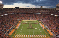 Neyland Stadium Wall Art