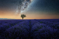 Night In Provence Wall Art