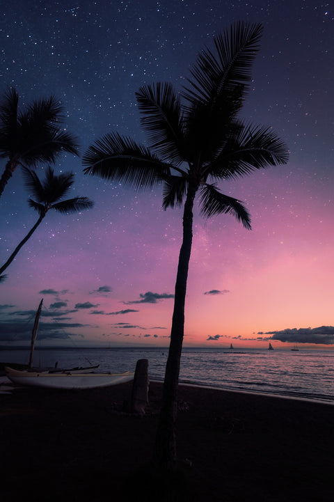 Night Wonder Wall Art