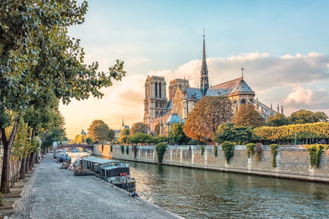 Notre Dame Wall Art