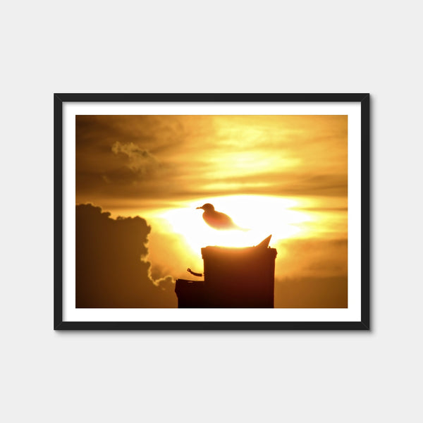 Nuclear Seagull Wall Art — Framed Print Format preview
