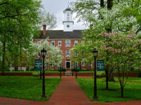 Ohio University Wall Art