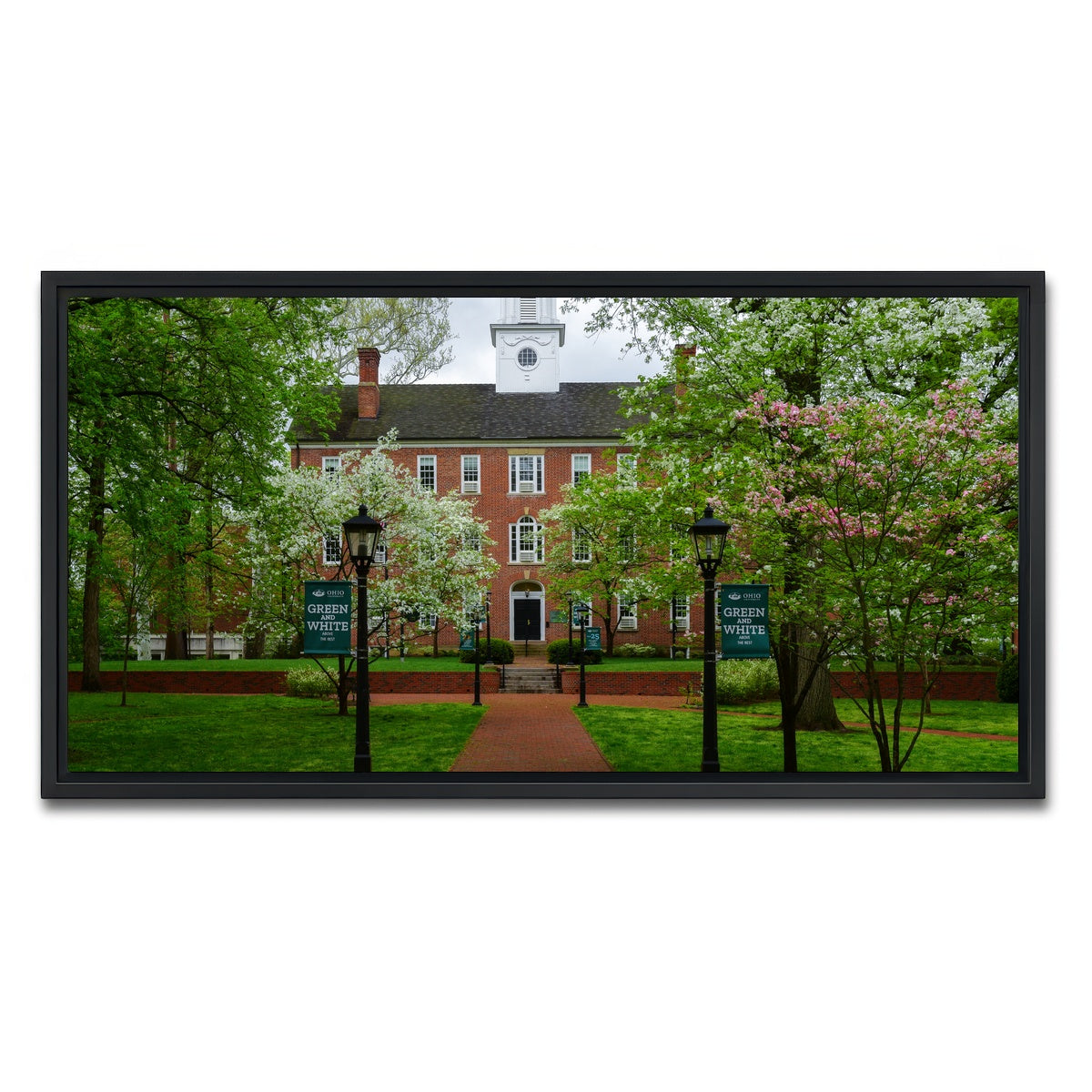 AUTO-MOCKUP WHITE | Ohio University | 1 Piece | Black Framed Canvas | group=2x1