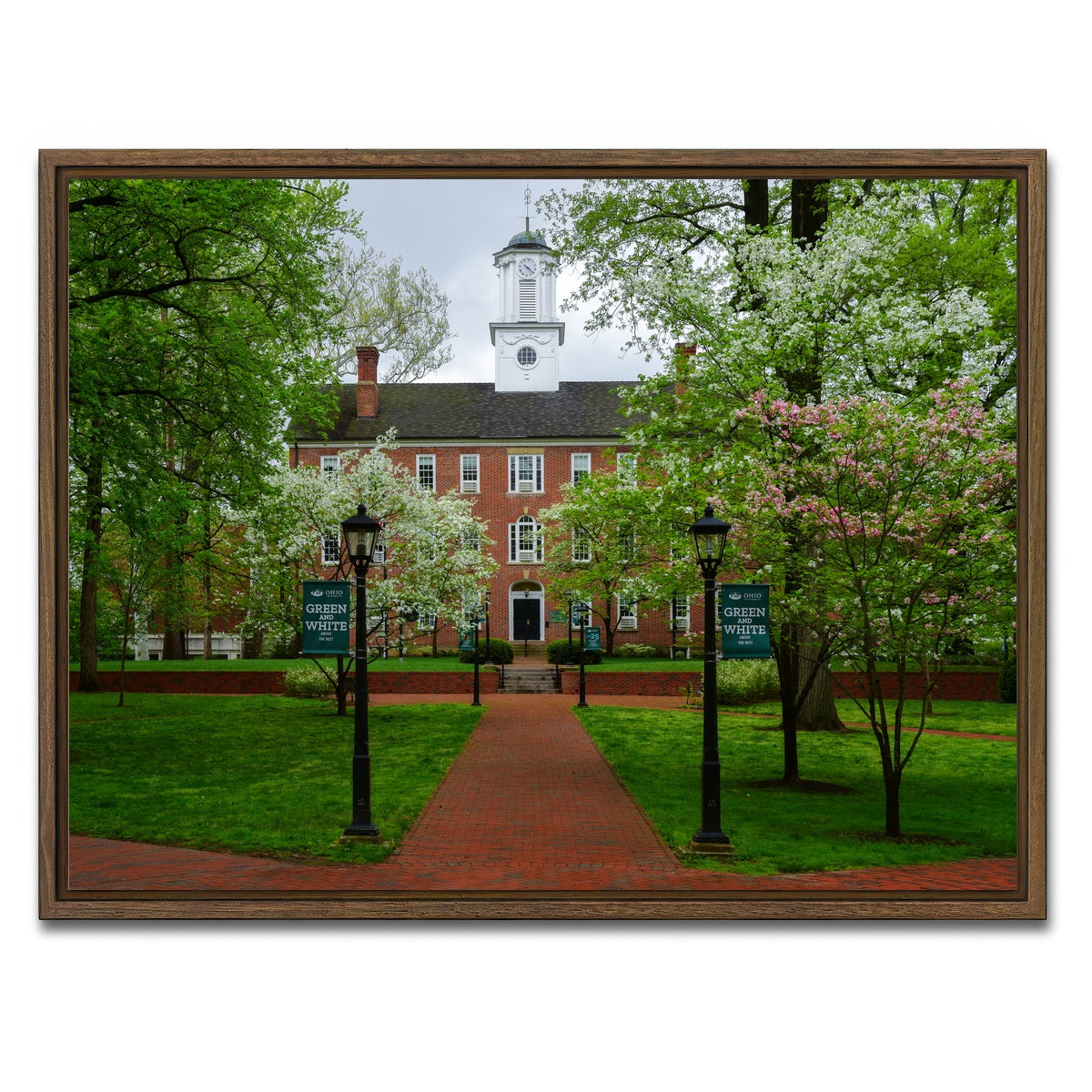AUTO-MOCKUP WHITE | Ohio University | 1 Piece | Walnut Framed Canvas | group=4x3