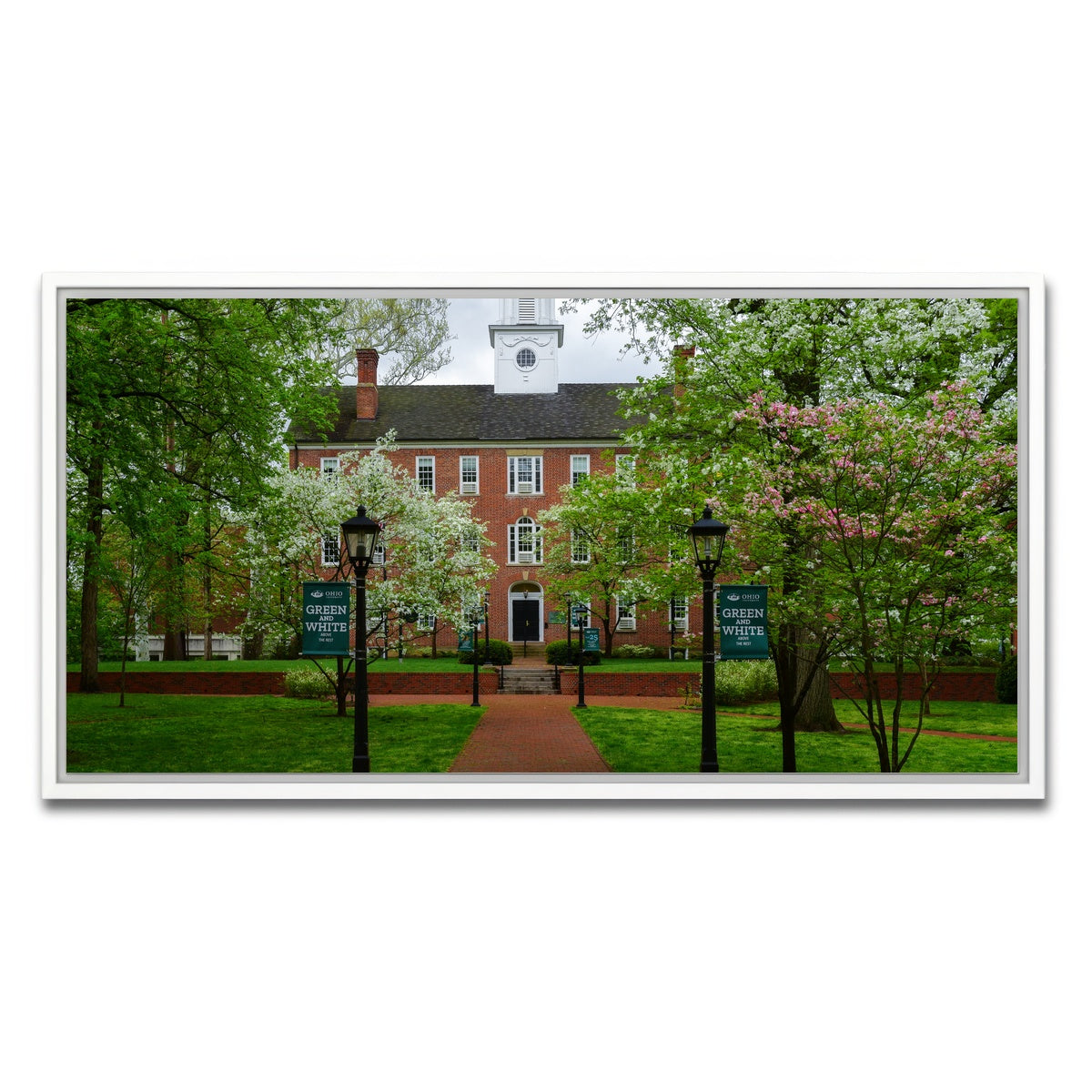 AUTO-MOCKUP WHITE | Ohio University | 1 Piece | White Framed Canvas | group=2x1