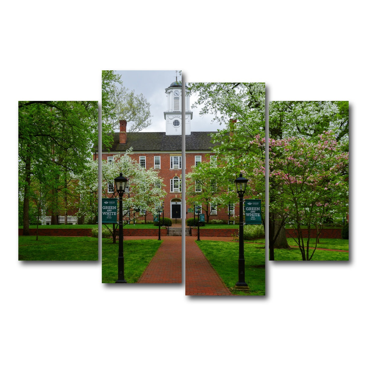 AUTO-MOCKUP WHITE | Ohio University | 4 Piece | Gallery Wrap Canvas | group=4_short