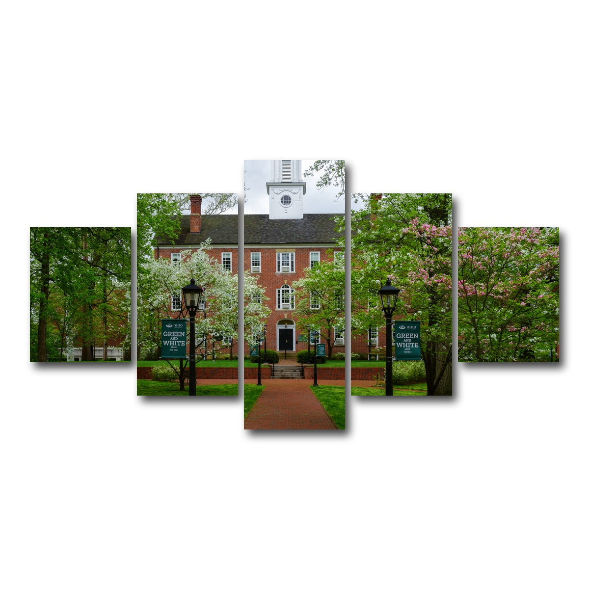 AUTO-MOCKUP WHITE | Ohio University | 5 Piece | Gallery Wrap Canvas | group=5_short