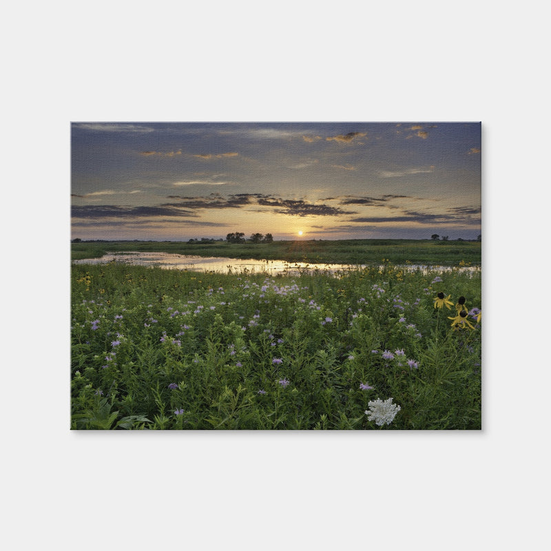 AUTO-MOCKUP WHITE | Open Field in Illinois | 1 Piece | Gallery Wrap | group=4x3