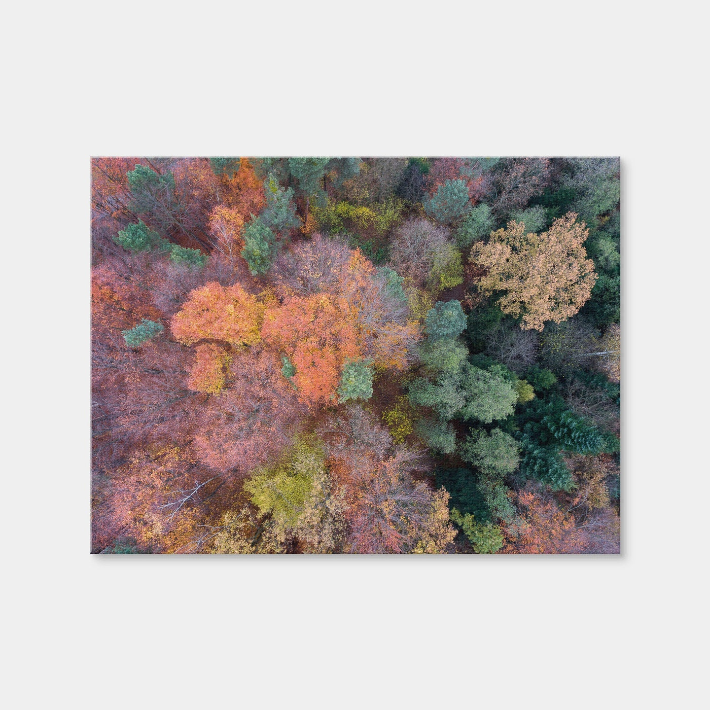 AUTO-MOCKUP WHITE | Orange and Green | 1 Piece | Gallery Wrap | group=4x3
