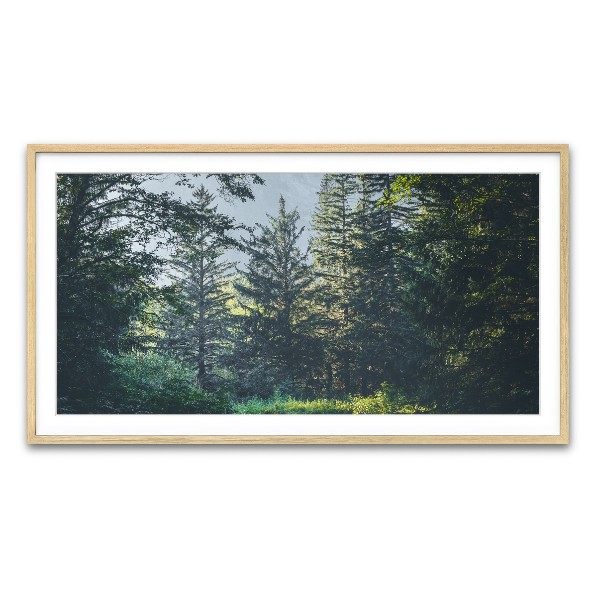 Overgrown Forest Path Wall Art