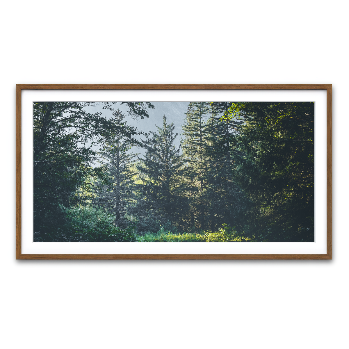 Overgrown Forest Path Wall Art