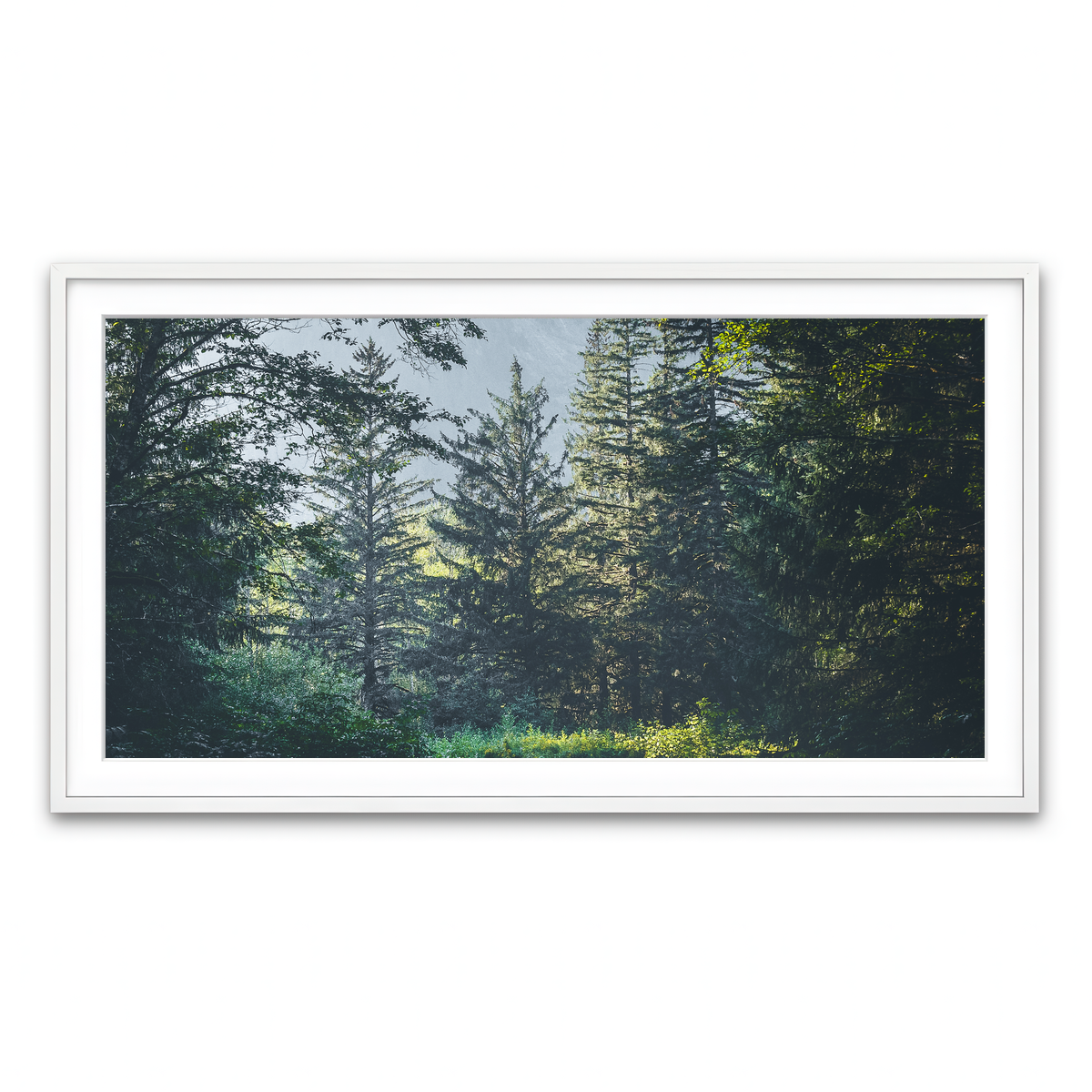 Overgrown Forest Path Wall Art