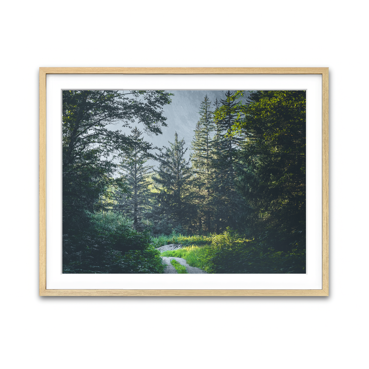 Overgrown Forest Path Wall Art