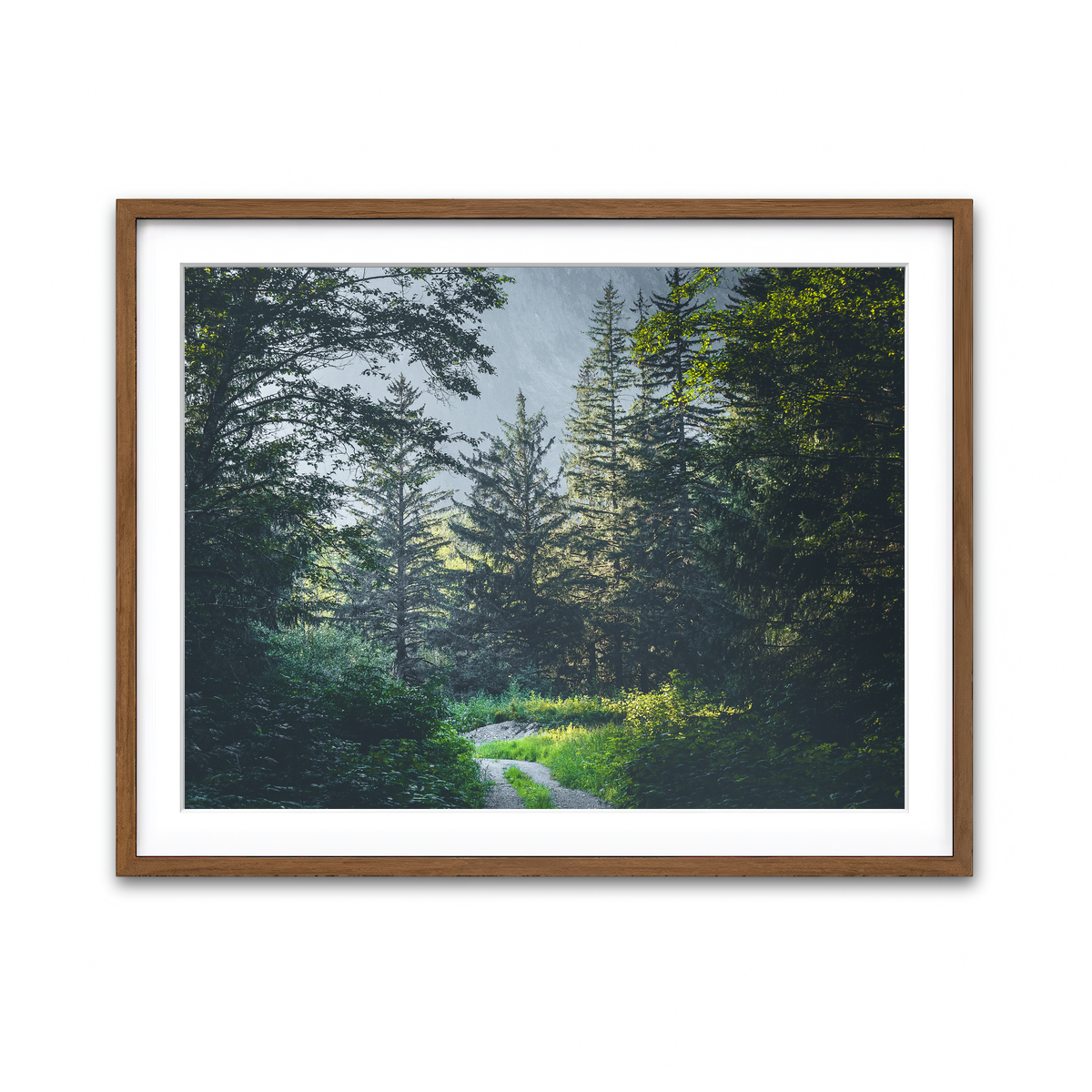 Overgrown Forest Path Wall Art