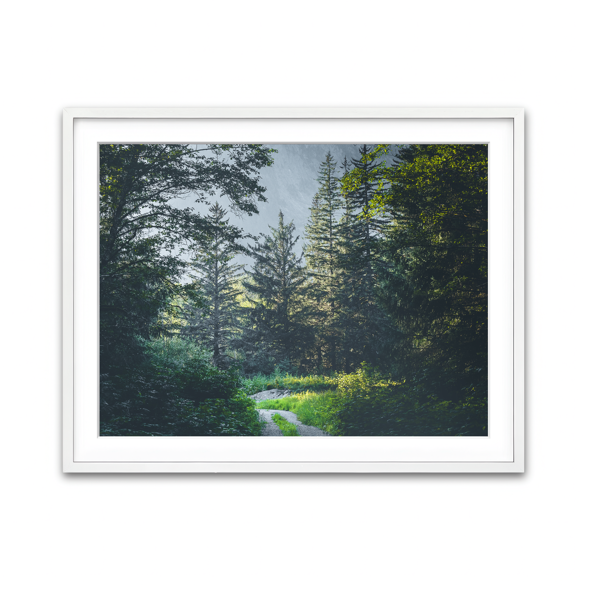 Overgrown Forest Path Wall Art