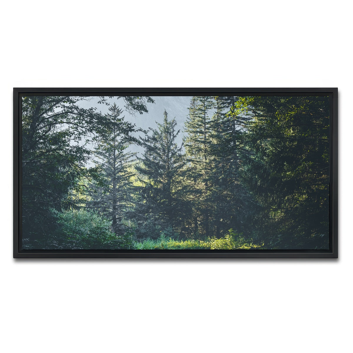 Overgrown Forest Path Wall Art