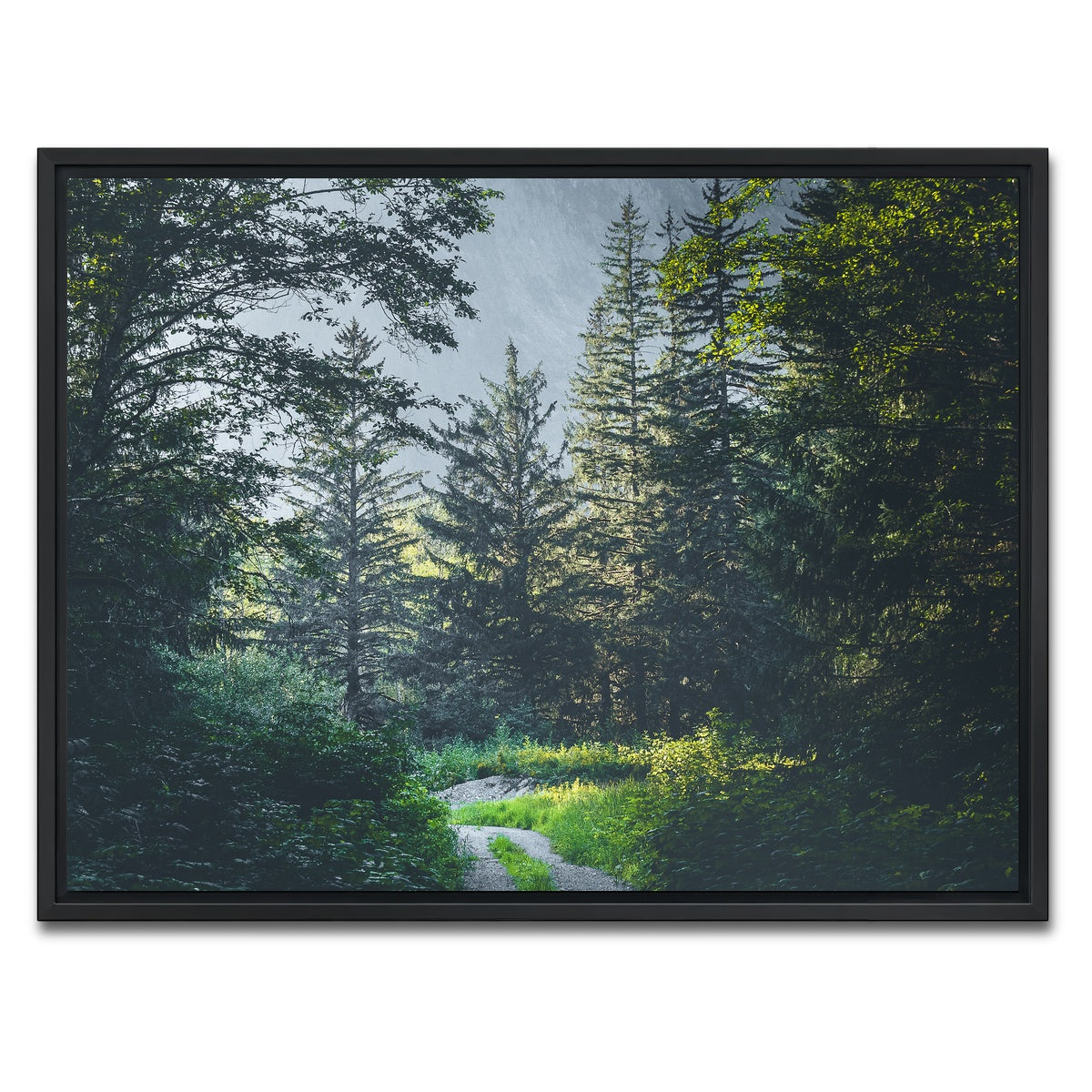 Overgrown Forest Path Wall Art