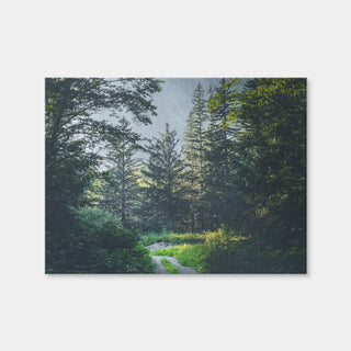 AUTO-MOCKUP WHITE | Overgrown Forest Path | 1 Piece | Gallery Wrap Canvas | group=4x3