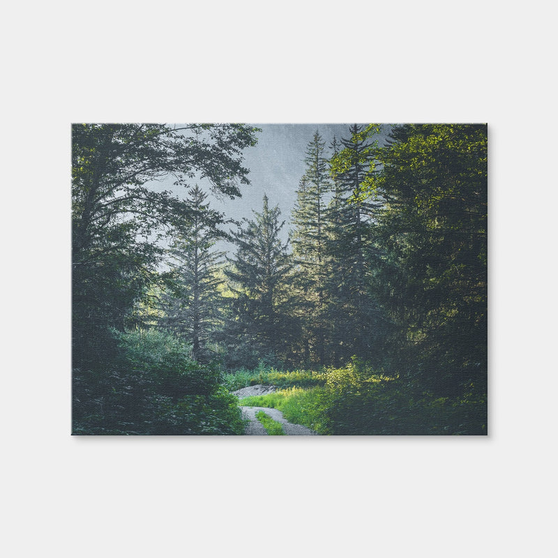 AUTO-MOCKUP WHITE | Overgrown Forest Path | 1 Piece | Gallery Wrap Canvas | group=4x3
