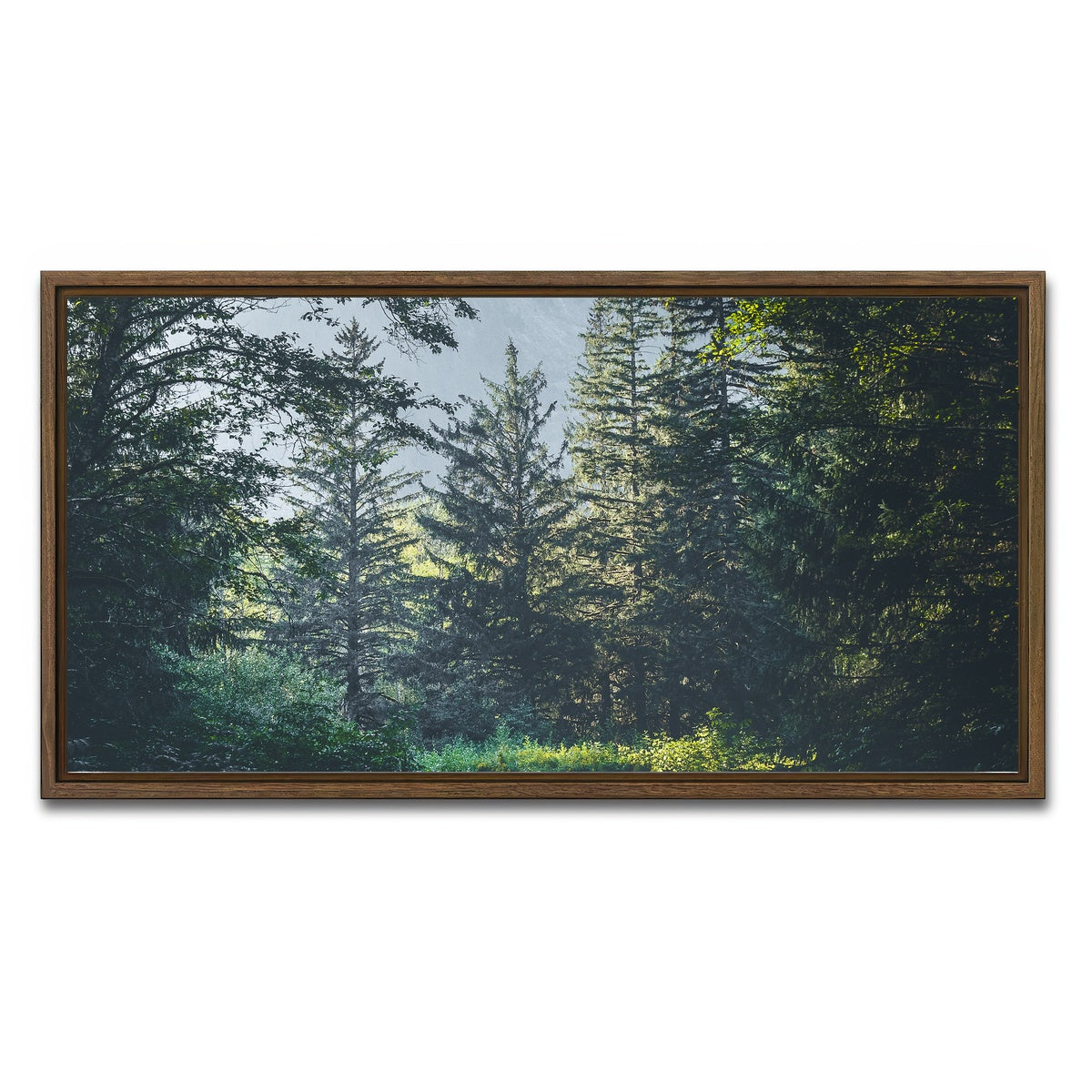 Overgrown Forest Path Wall Art