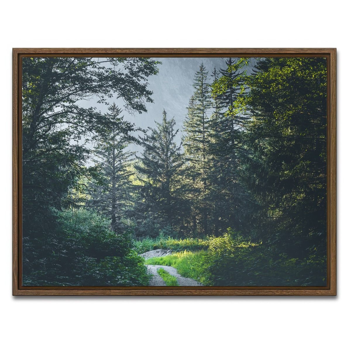 Overgrown Forest Path Wall Art